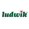 Ludwik