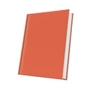 AGENDA DATATA 2027 HERLITZ Standard A5, PORTOCALIU*
