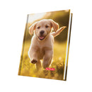 AGENDA NEDATATA HERLITZ motiv Cute A5*