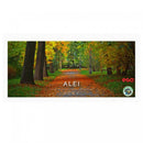 CALENDAR BIROU EGO, 13 FILE, ALEI*