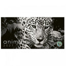 CALENDAR BIROU EGO, 13 FILE, ANIMALE*