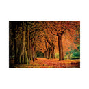 CALENDAR PERETE EGO, 13 FILE, ALEI*