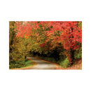 CALENDAR PERETE EGO, 13 FILE, ALEI*