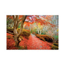 CALENDAR PERETE EGO, 13 FILE, ALEI*
