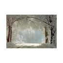 CALENDAR PERETE EGO, 13 FILE, ALEI*