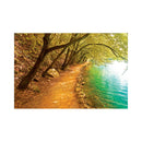CALENDAR PERETE EGO, 13 FILE, ALEI*