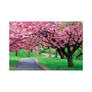 CALENDAR PERETE EGO, 13 FILE, ALEI*