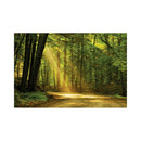 CALENDAR PERETE EGO, 13 FILE, ALEI*