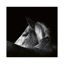 CALENDAR PERETE EGO, 13 FILE, ANIMALE*