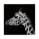 CALENDAR PERETE EGO, 13 FILE, ANIMALE*