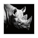 CALENDAR PERETE EGO, 13 FILE, ANIMALE*