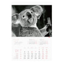 CALENDAR PERETE EGO, 13 FILE, ANIMALE*