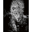 CALENDAR PERETE EGO, 13 FILE, ANIMALE*