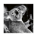 CALENDAR PERETE EGO, 13 FILE, ANIMALE*
