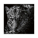 CALENDAR PERETE EGO, 13 FILE, ANIMALE*