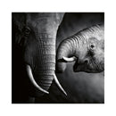 CALENDAR PERETE EGO, 13 FILE, ANIMALE*