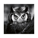 CALENDAR PERETE EGO, 13 FILE, ANIMALE*