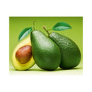 CALENDAR PERETE EGO, 13 FILE, GREEN*