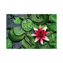 CALENDAR PERETE EGO, 13 FILE, GREEN*