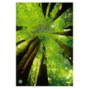 CALENDAR PERETE EGO, 13 FILE, GREEN*