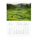 CALENDAR PERETE EGO, 13 FILE, GREEN*