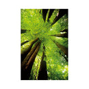 CALENDAR PERETE EGO, 13 FILE, GREEN*