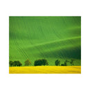 CALENDAR PERETE EGO, 13 FILE, GREEN*