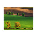 CALENDAR PERETE EGO, 13 FILE, GREEN*