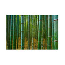CALENDAR PERETE EGO, 13 FILE, GREEN*