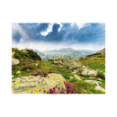 CALENDAR PERETE EGO, 13 FILE, ROMANIA*