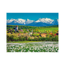 CALENDAR PERETE EGO, 13 FILE, ROMANIA*