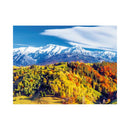 CALENDAR PERETE EGO, 13 FILE, ROMANIA*