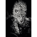 CALENDAR PERETE EGO FOTOGRAFII, 13 file*