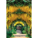 CALENDAR PERETE EGO FOTOGRAFII, 13 file*