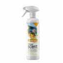 ODORIZANT LICHID CAMERA CLINEX SCENT cu pulverizator, 500 ml