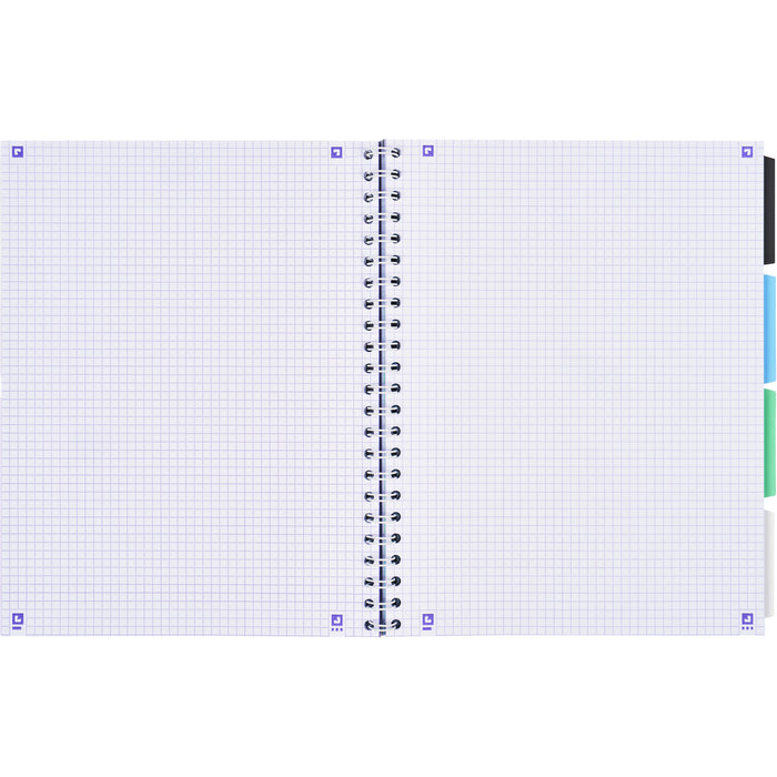 CAIET A4 80 file, spirala, OXFORD Project Book