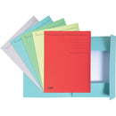 DOSAR CARTON COLOR EXACOMPTA PLIC