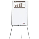 FLIPCHART MAGNETIC DELI, 60 x 90 cm*