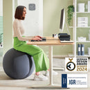 MINGE ERGONOMICA LEITZ ERGO 65 cm*