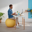 MINGE ERGONOMICA LEITZ ERGO COSY 65 cm*