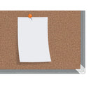 PANOU PLUTA 120 x 90 CM RAMA ALUMINIU PREMIUM PLUS NOBO*