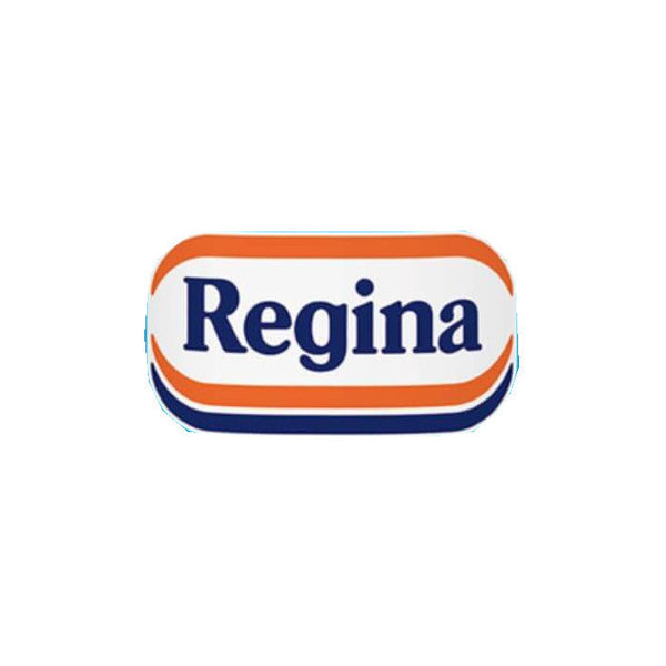 PROSOP HARTIE ROLA ALBA REGINA Power, 2 straturi, 100 foi