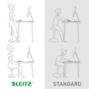 SCAUN ERGONOMIC POZITIE SEZUT/IN PICIOARE LEITZ ERGO COSY*