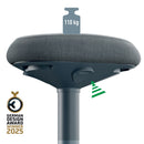 SCAUN ERGONOMIC POZITIE SEZUT/IN PICIOARE REGLABIL 57-82CM LEITZ*