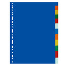 SEPARATOR PLASTIC A4 COLOR, set 12 culori