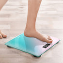 CANTAR ELECTRONIC DELI STICLA BICOLOR*