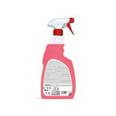 DETERGENT LICHID SUPRAFETE METALICE SANITEC Sgrassatore, cu pulverizator, 750 ml