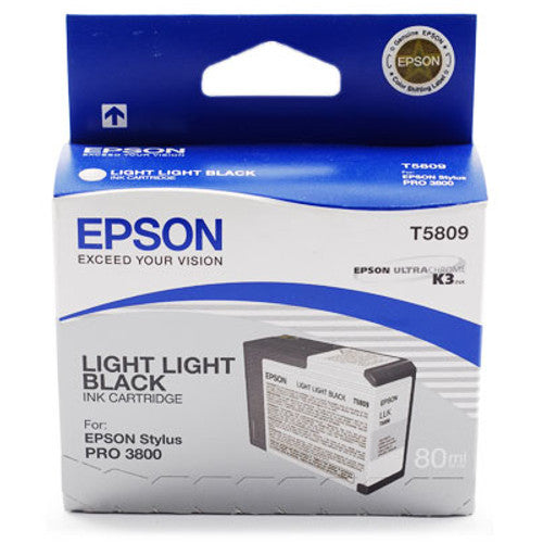 EPSON INK C13T580900 Gray - 80ml*