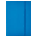 MAPA CARTON PLASTIFIAT, cu ELASTIC, A4, ESSELTE Economy, 300 gr