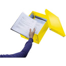 CUTIE LEITZ WOW Click & Store Cub mare, 32x31x36 cm